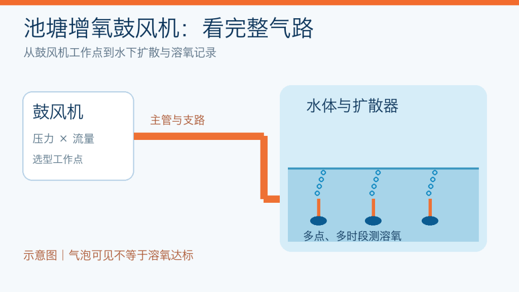 池塘增氧鼓风机气路与溶氧验收示意图