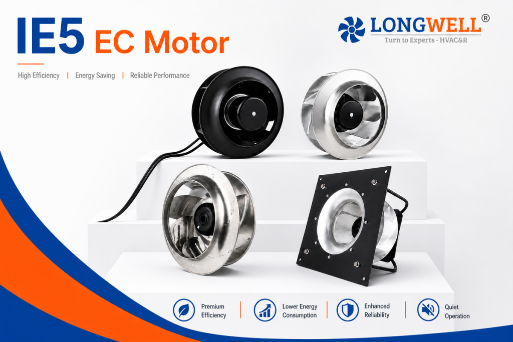 IE5--------EC---AC------